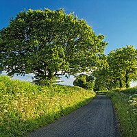 Buy canvas prints of Somerset Country Lane by Darren Galpin