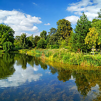 Buy canvas prints of Cusworth Park Reflections by Darren Galpin