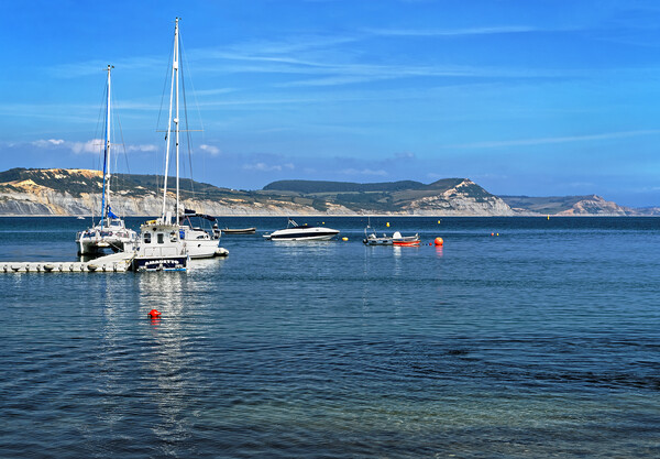 Yachts in Lyme Bay Picture Board by Darren Galpin