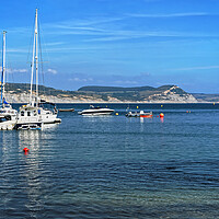 Buy canvas prints of Yachts in Lyme Bay by Darren Galpin