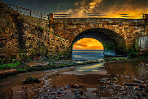 Under The Bridge Picture Board by Darren Ball
