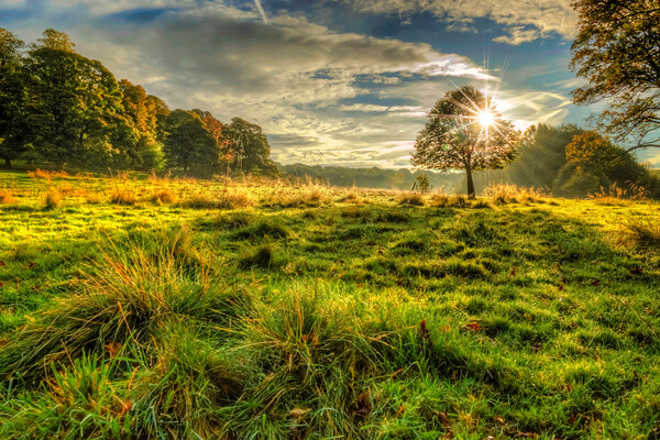 Out in the Country Picture Board by Darren Ball