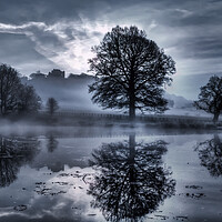 Buy canvas prints of Misty Mornings by Darren Ball
