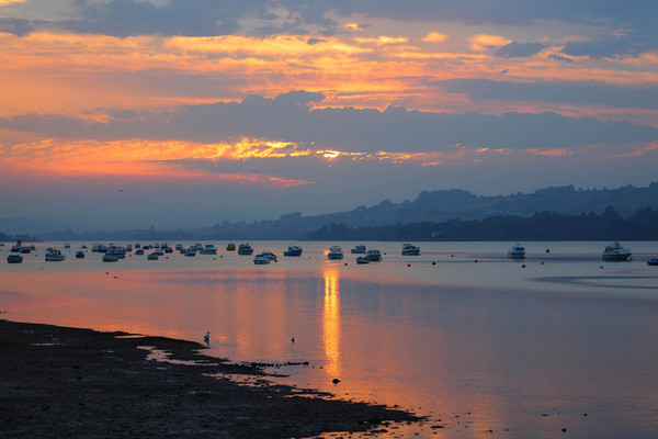 beautiful teign estuary sunset Framed Mounted Print by kevin murch