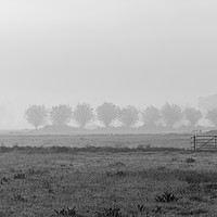 Buy canvas prints of morning mist on the somerset levels by kevin murch