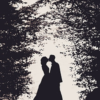 Buy canvas prints of Romantic bride and groom kissing by Damian K