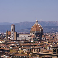 Buy canvas prints of The Duomo Florence by Trevor Buchanan