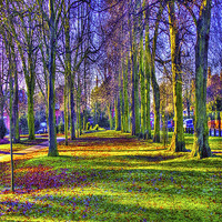 Buy canvas prints of Peoples Park Grimsby by paul jenkinson