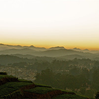 Buy canvas prints of Ooty at Sunset by Norwyn Cole