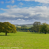 Buy canvas prints of Green and pleasant land. by Mark Aynsley