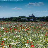 Buy canvas prints of Warkworth meadow. by Mark Aynsley