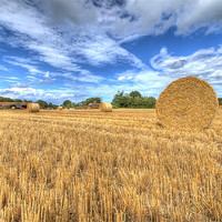 Buy canvas prints of Harvest time in suffolk by Paul Nichols