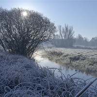 Buy canvas prints of frosty mornings by Paul Nichols