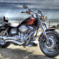 Buy canvas prints of  Harley Davidson  by Paul Nichols