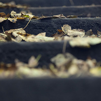 Buy canvas prints of  Autumn steps by Paul Nichols