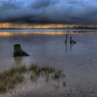 Buy canvas prints of  Late winter on the marshes by Paul Nichols