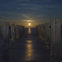 Buy canvas prints of  Moonrise by Paul Nichols