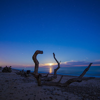Buy canvas prints of  Moonrise over Benacre beach suffolk by Paul Nichols