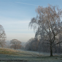 Buy canvas prints of Frosty Morning by paul petty