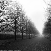 Buy canvas prints of A Winters Morning in Regents Park by paul petty
