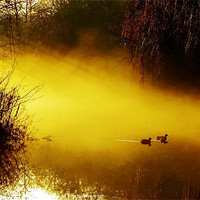 Buy canvas prints of foggy morning, sunrise by Catherine Davies