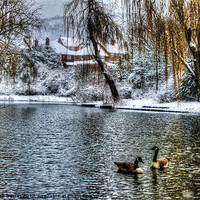 Buy canvas prints of Winter on the pond by Catherine Davies