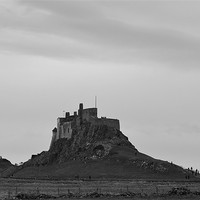 Buy canvas prints of Lindisfarne Castle on hill by Shaun Cope