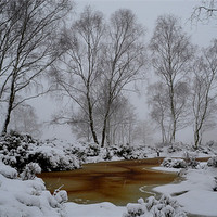 Buy canvas prints of Cheshire snow drift by Shaun Cope