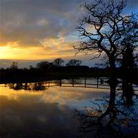 Buy canvas prints of Silhouette Flooding Reflection by Shaun Cope