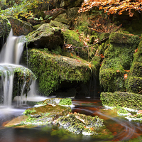 Buy canvas prints of  Waterfall Green Moss by Shaun Cope