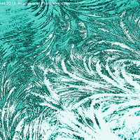 Buy canvas prints of Ice Feathers In Cyan by Martin Albones