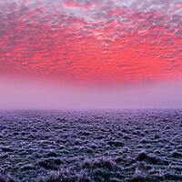 Buy canvas prints of Sunrise at Widbrook Common by Mick Vogel