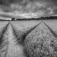 Buy canvas prints of The Footpath Cookham by Mick Vogel