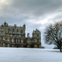 Buy canvas prints of Wollaton Hall in the Snow by Tracey Whitefoot
