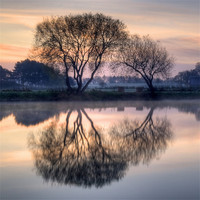 Buy canvas prints of Reflection by Tracey Whitefoot