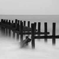 Buy canvas prints of Misty Defences by Tracey Whitefoot