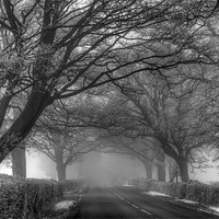 Buy canvas prints of Misty Road by Tracey Whitefoot