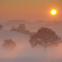 Buy canvas prints of Winter Sunrise by Tracey Whitefoot