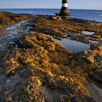 Buy canvas prints of Penmon Lighthouse by Tracey Whitefoot