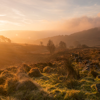 Buy canvas prints of Dawn at the Roaches by Tracey Whitefoot