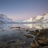 Buy canvas prints of Ersfjordbotn Reflections by Tracey Whitefoot