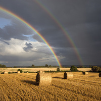 Buy canvas prints of Double Rainbow  by Tracey Whitefoot