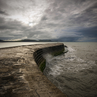 Buy canvas prints of The Cobb by Tracey Whitefoot