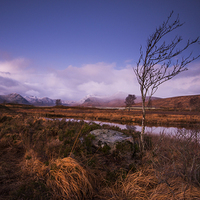 Buy canvas prints of Rannoch Moor by Tracey Whitefoot