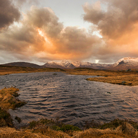Buy canvas prints of Glencoe Gold  by Tracey Whitefoot