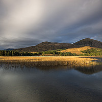 Buy canvas prints of Loch Reflections by Tracey Whitefoot