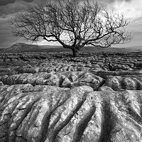 Buy canvas prints of Scarred Landscape (Mono) by Tracey Whitefoot