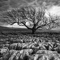 Buy canvas prints of Scarred Landscape II (Mono) by Tracey Whitefoot