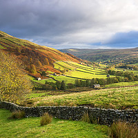 Buy canvas prints of Autumn in Swaledale  by Tracey Whitefoot