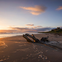 Buy canvas prints of Bamburgh Sunrise  by Tracey Whitefoot